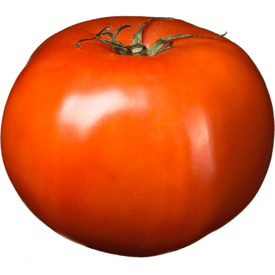 Tomato Tomato