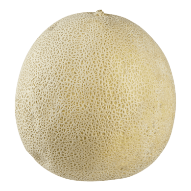 Cantaloupe Cantaloupe