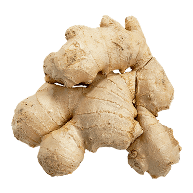 Ginger Ginger