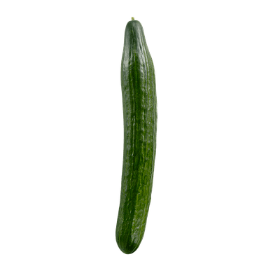 English Cucumber English Cucumber