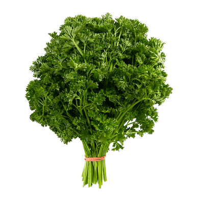 Curly Parsley Curly Parsley