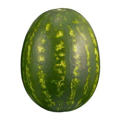 Seedless Watermelon Seedless Watermelon