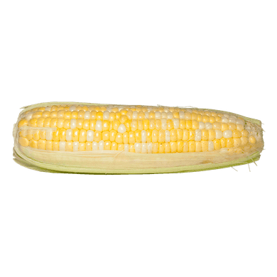 Corn Corn