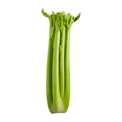 Celery Celery